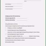 Toll 17 Schadensmeldung Versicherung Vorlage