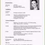 Toll 17 Tabellarischer Lebenslauf Akademiker