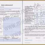 Toll 19 Mieterselbstauskunft Vorlage Word