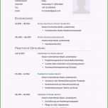 Toll 19 Vorlage Bewerbung 2014 Rabindraart Ams Lebenslauf