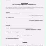 Toll 20 Arbeitsvertrag Vorlage Kostenlos Word