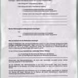 Toll 20 Mietangebot Vorlage