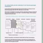 Toll 20 Tabellarischer Lebenslauf Vorlage Pdf