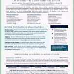 Toll 42 Idee Planet Beruf Lebenslauf Zuletzt