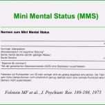 Toll 62 Inspiration Mini Mental Test Vorlage Ideen