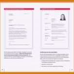 Toll 7 Bewerbung Verkäuferin Teilzeit Ohne Erfahrung