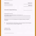 Toll 7 Kündigungsschreiben Verein Muster