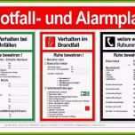 Toll 9 Alarmplan Vordruck