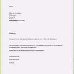 Toll Arbeitgeber Kundigung Muster Arbeitnehmer Kündigung