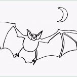 Toll Ausmalbilder Fledermaus Kostenlos Malvorlagen Zum