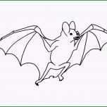 Toll Ausmalbilder Für Kinder Malvorlagen Und Malbuch