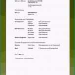 Toll Bewerbung Praktikum 8 Klasse Vorlage Bewerbungsschreiben