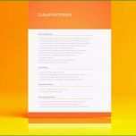 Toll Bewerbung Reinigungskraft Vorlage Kostenlos Lebenslauf