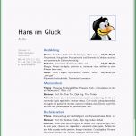 Toll Bewerbungen Und Lebensläufe Mit Latex Und Moderncv