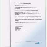 Toll Biografie Schreiben Muster Ideen Biografie Vorlage Für