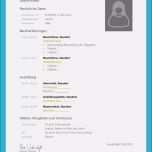 Toll Biografie Schreiben Muster Ideen Biografie Vorlage Für