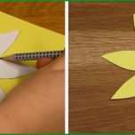 Toll Blumen Basteln Vorlage Blumen Vorlagen 207 Malvorlage