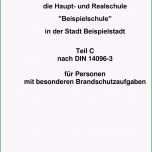 Toll Brandschutzordnung Für Teil C Nach Din Für Personen Mit