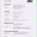 Toll Englischer Lebenslauf Muster