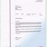 Toll Garantieerklärung Englisch Deutsch