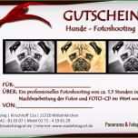 Toll Hunde – Fotoshooting – Gutschein – Blog
