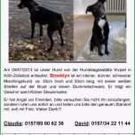 Toll Katze Vermisst Vorlage – Vorlagens Download