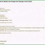 Toll Kfz Versicherung K Ndigen Mit Mustervorlage so Gehts