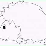 Toll Konabeun Zum Ausdrucken Ausmalbilder Igel