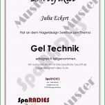 Toll Kosmetik Großhandel24 Nageldesign Selbststudium Schulung