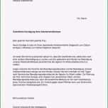 Toll Kundigung Arbeitgeber Muster Kostenlos Vorlage Kündigung