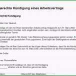 Toll Kündigung Job Vorlage – Vorlagen Komplett