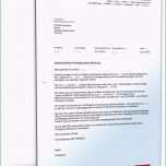 Toll Kündigung Mietvertrag Vermieter Vorlage Mietrückstand