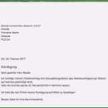 Toll Kündigung Verkehrsrechtsschutz Vorlage Erstaunlich