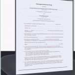 Toll Kundigung Wegen Eigenbedarf Vorlage Wohnung Kündigen