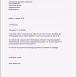 Toll Kündigungsschreiben Arbeitgeber Muster Kostenlos