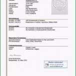 Toll Latex Lebenslauf Vorlage Best Lebenslauf Schreiben Und