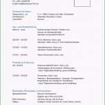 Toll Lebenslauf Vorlagen Headhunter100