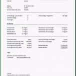 Toll Lohnabrechnung Schweiz Vorlage Excel Elegant