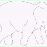 Toll Malvorlage Elefant