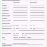 Toll Mieterselbstauskunft Vorlage Word Am Besten Wohnung