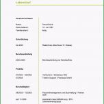 Toll Muster Lebenslauf Word Muster Lebenslauf Nebenjob