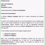 Toll Muster Referenzschreiben