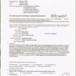 Toll Nebenjob Genehmigung Arbeitgeber Vorlage Kündigung Job