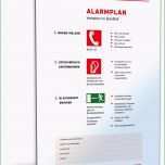 Toll Piktogramm Alarmplan