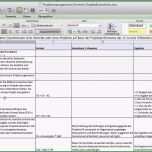 Toll Projektmanagement Excel Vorlage – De Excel