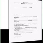 Toll Rechte Bei Umzug Wegen Sanierung K Ndigungsschreiben
