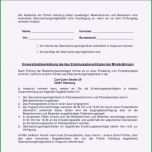 Toll Reisevollmacht Muster