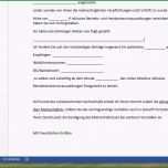 Toll Selbstauskunft Mieter Vorlage Word – Kebut