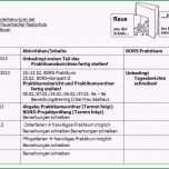 Toll Tagesbericht Praktikum Vorlage Arzthelferin Fantastisch
