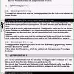 Toll Testament Vorlage Alleinerbe Beruhmt Vorlage Eines